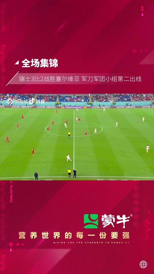 塞尔维亚国家队与瑞士队战成平局，双双晋级八强的简单介绍