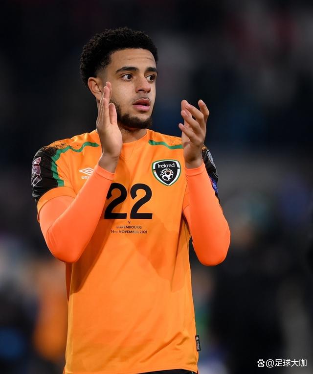 爱尔兰运动员士气高昂,凭借实力征服对手的简单介绍 爱尔兰运动员士气高昂,凭借实力征服对手的简单介绍