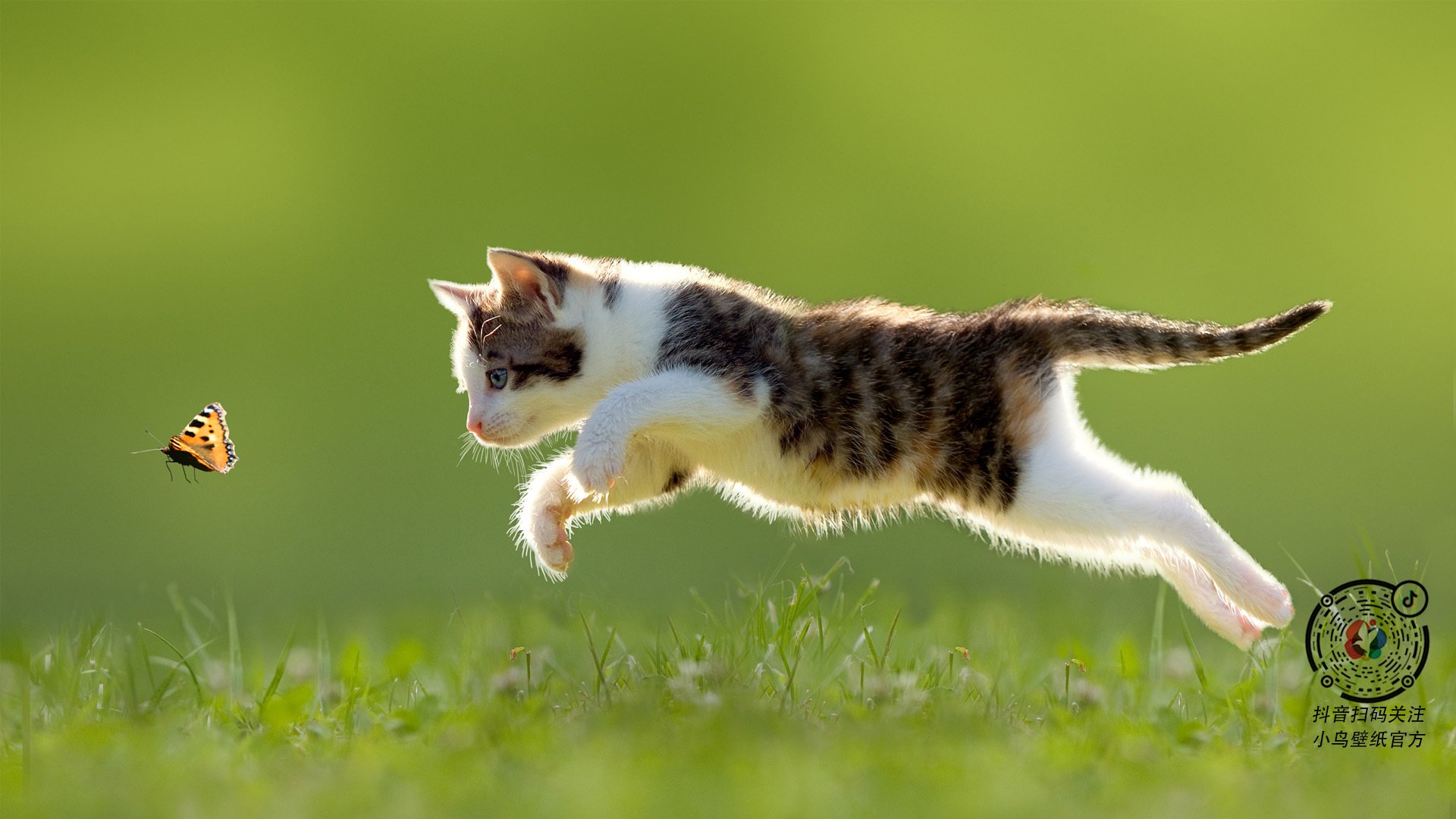 汉江奇迹映照罗讷河，当欧冠决赛成为韩国的内战