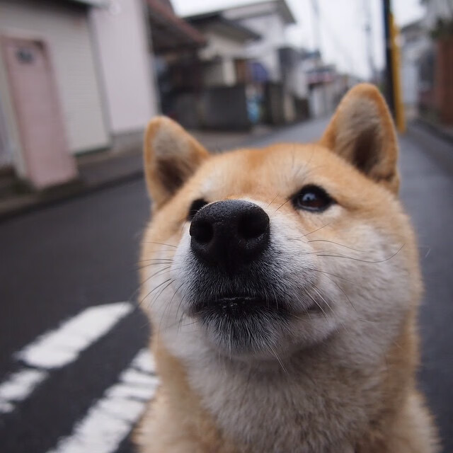 恩佐展现巨星价值，玻利维亚完胜爱尔兰，足球之夜的辉煌篇章