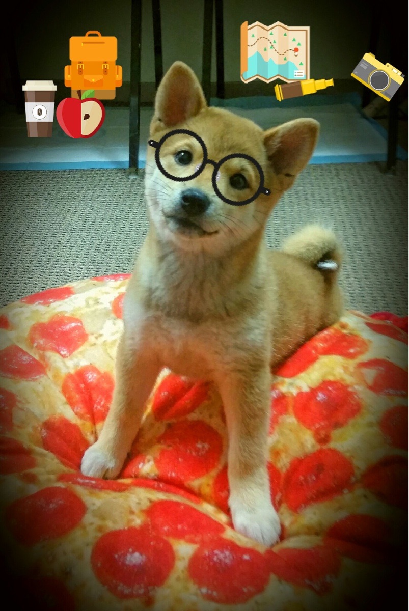 弗拉霍维奇读秒绝杀!克罗地亚鏖战智利,关键先生一锤定音