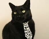 吉林队争冠战力克国王，布伦森实力铸就传奇