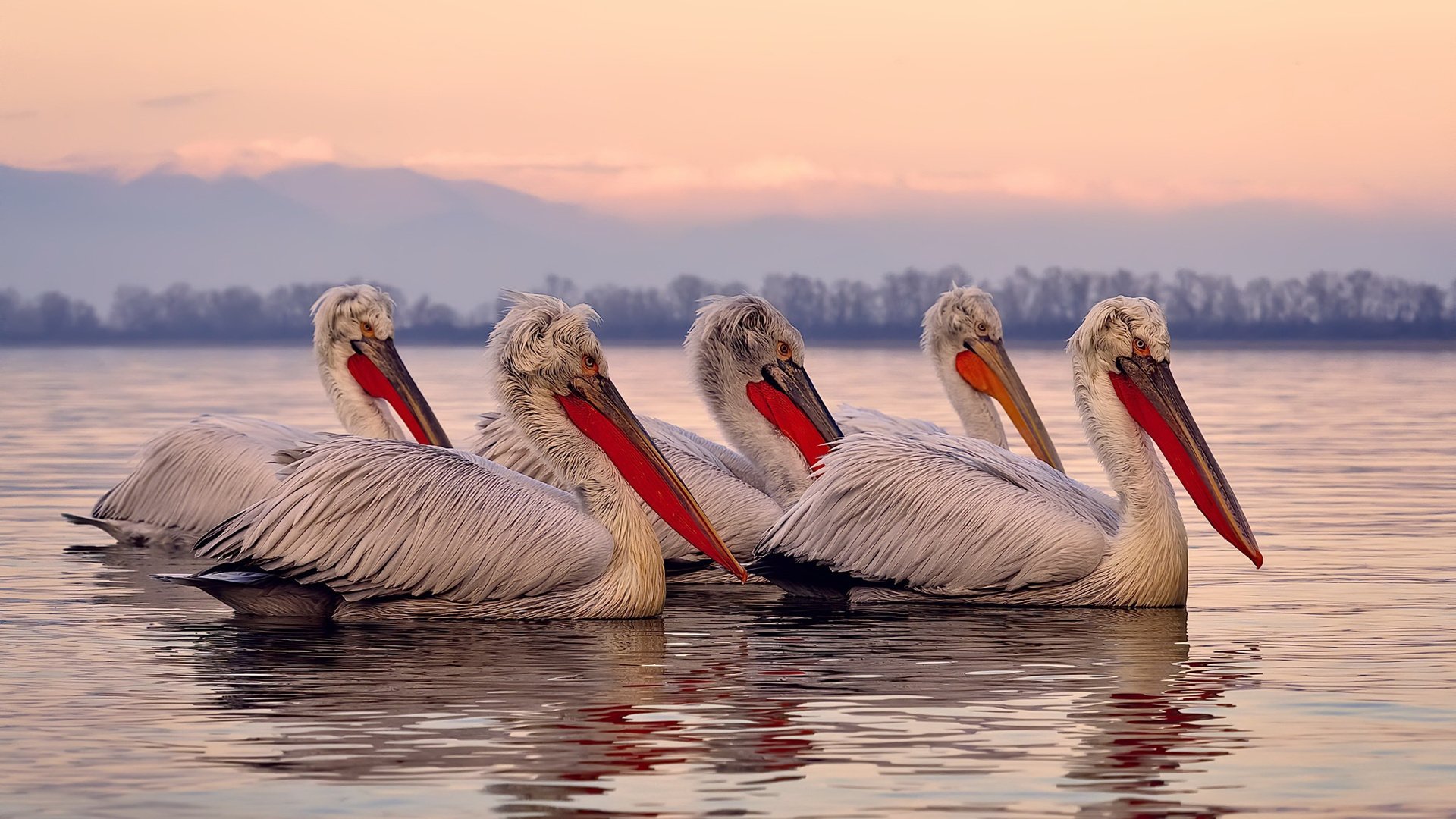 星辰不落，莫德里奇美加墨之夜定义巨星价值
