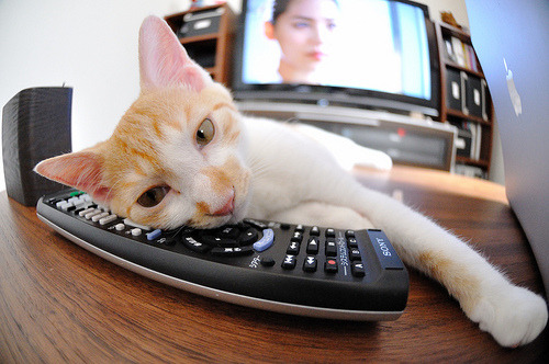 浓眉擎天柱!步行者关键战突围浙江,一战定江山